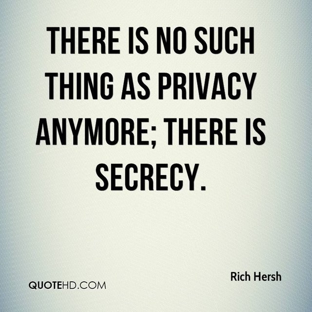 rich-hersh-quote-there-is-no-such-thing-as-privacy-anymore-there-is-se.jpg