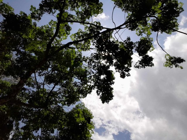 20250706_170649.jpg