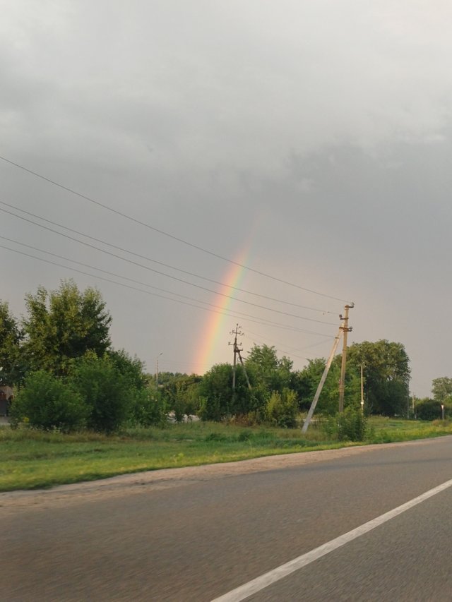 20250725_060234.jpg