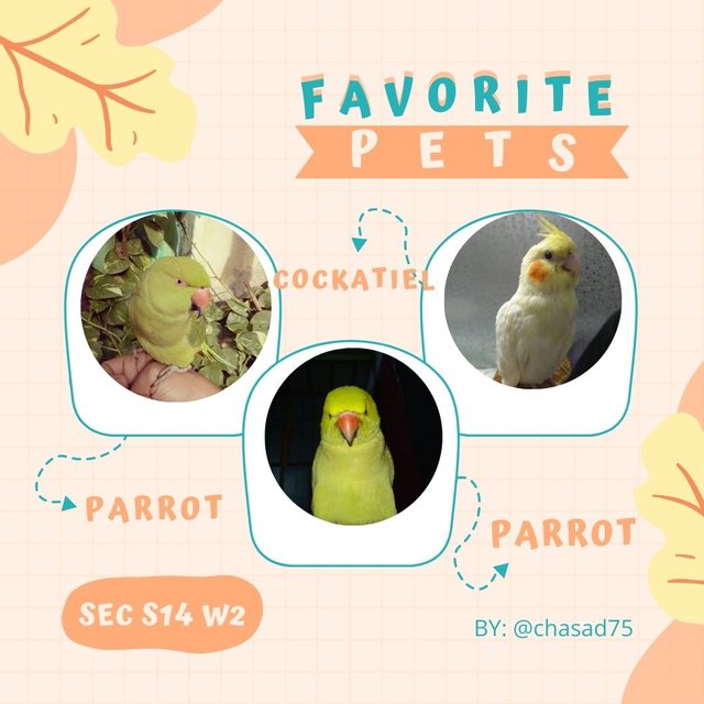 SEC-S14W2 - My Favorite Pet.jpg