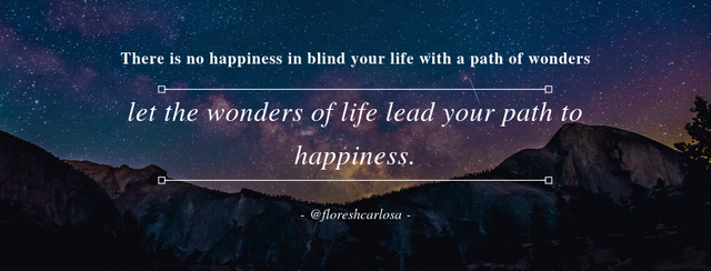 There is no happiness in blind your life with a path of wonders.png