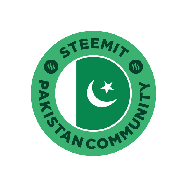 Steemit Pakistan Logo 1.png