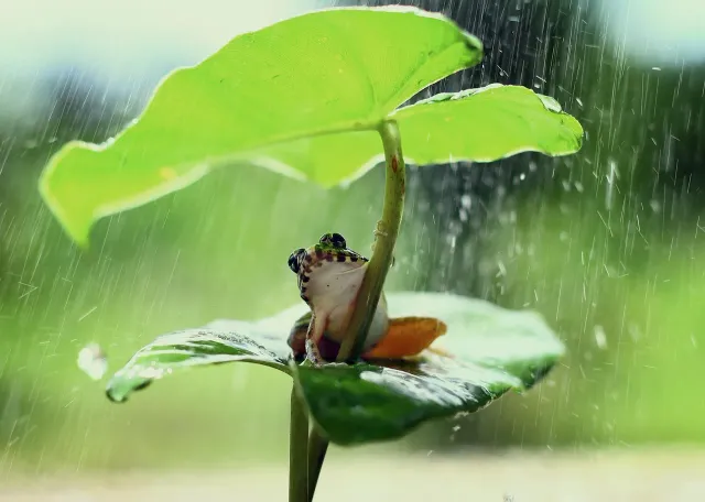 EfcLDDAkyqgqyc52akN9rUxQfC5ruGgFCQMvjrGK1xA8EmruNWfvFTAYbV21GizBEj5xkTUT7S2nu2oqKo7okcCzKb1ci.webp