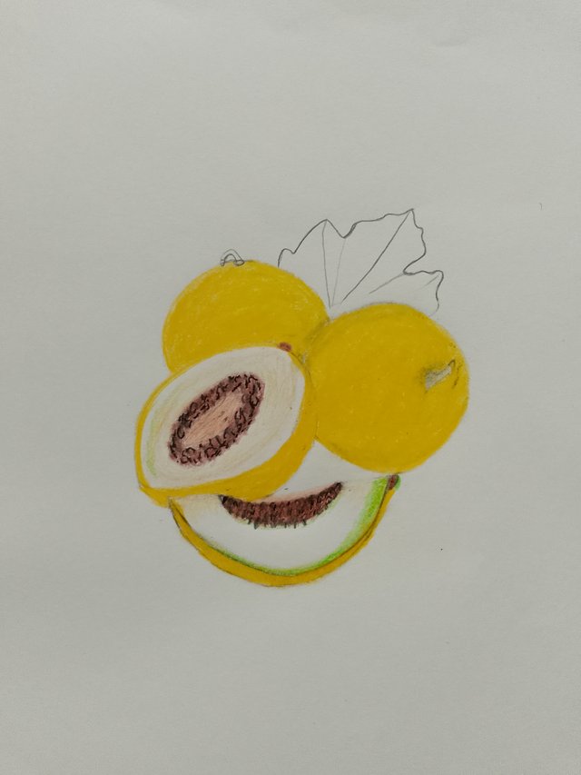 1000055126.jpg