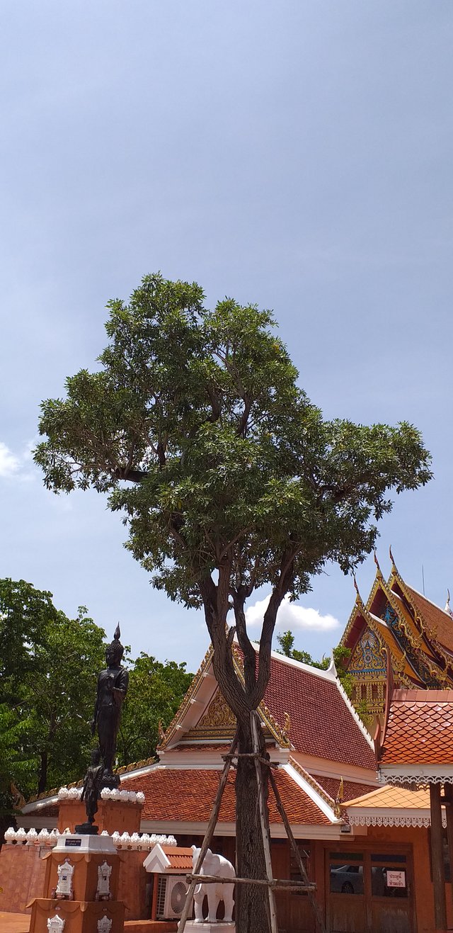 Wat Phasuk Maneejak109.jpg