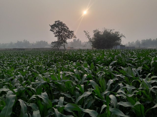 1000073240.jpg