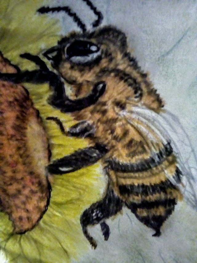 abeja4.jpg