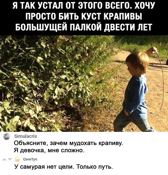 dMkkHapwM8o — копия.jpg