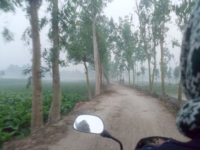 IMG20250308063810_01.jpg