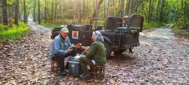 jungle-safari-jeep-stop.webp