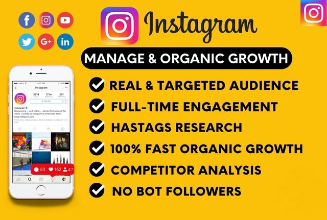 Fiverr-I-will-instagram-marketing-for-super-fast-organic-instagram-growth-H9igpEtf34Aj.jpg