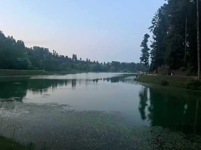 IMG_4126.jpeg