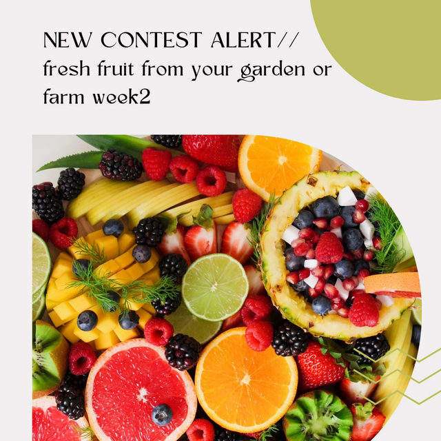 fresh fruit social media template_20240728_205642_0000.png