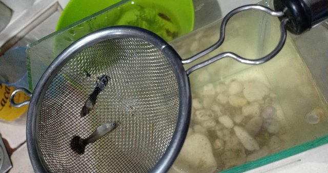 received_1804158513496522.jpeg