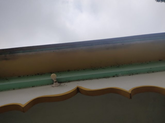 IMG_20250314_082550.jpg