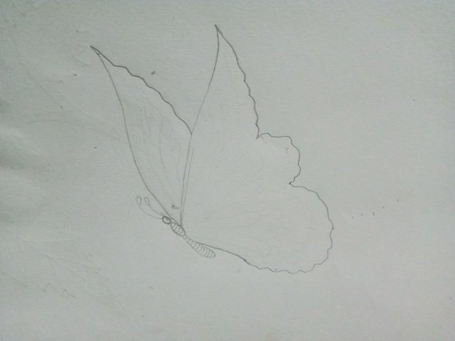 IMG20250928062915.jpg