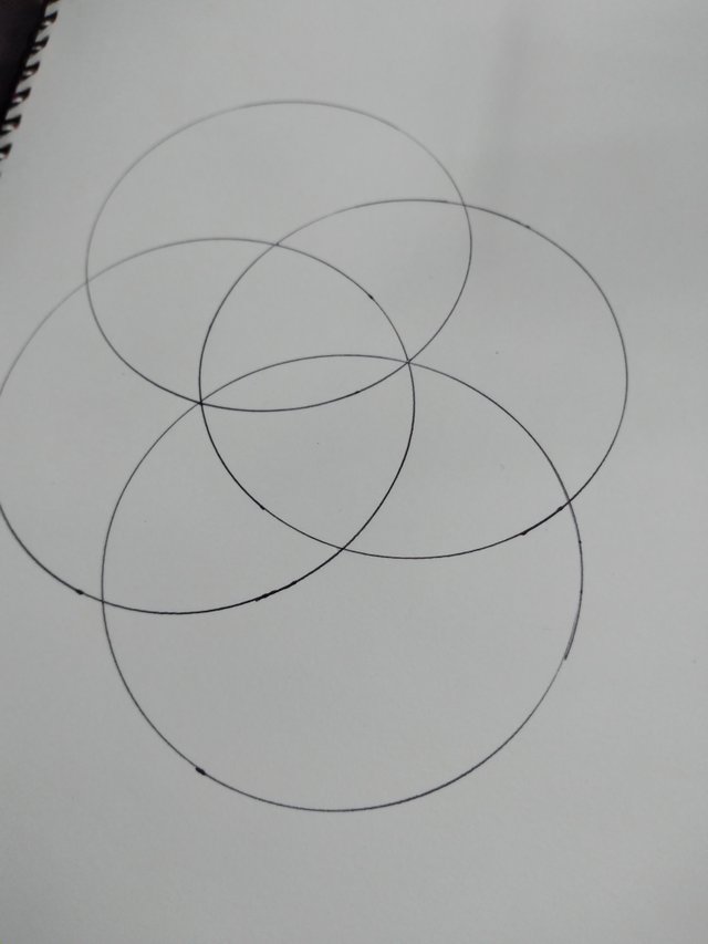 20250726_182811.jpg