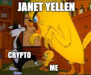 yellen kitty and tweety.JPG