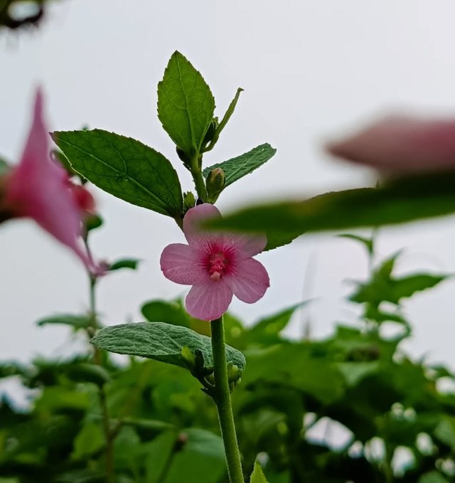 IMG_20250918_232914.jpg