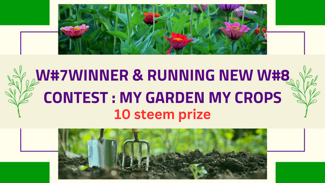 Contest my garden & ceops.png