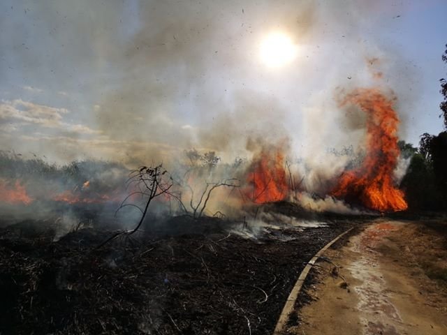 пожар Ларнака май 2020-+.jpg