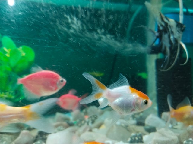 IMG_20250823_183859.jpg