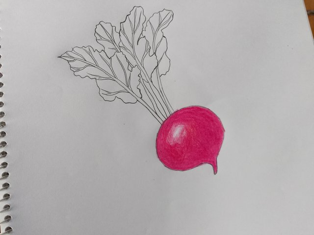 1000057767.jpg