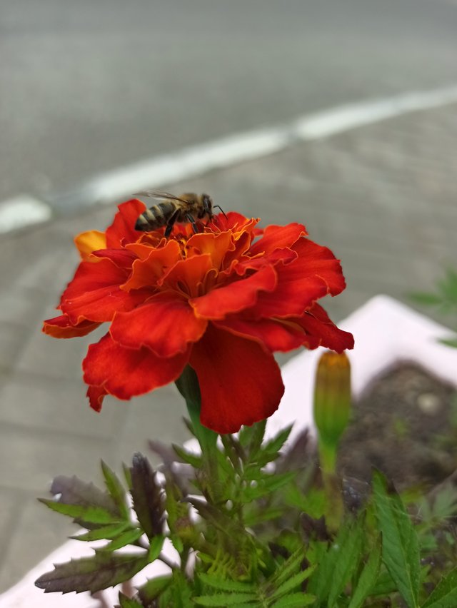 IMG_20250614_115918.jpg