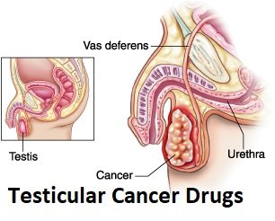 testicular cancer drugs.jpg