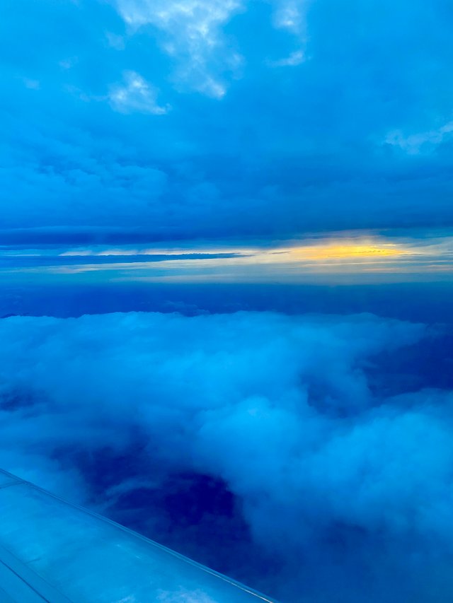 21124435-E5D2-499B-B32A-4F6970E398CC.jpeg