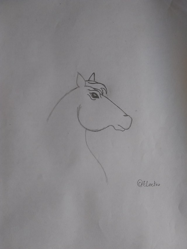 Caballo 1.jpg