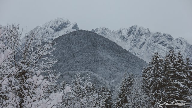 2019-01-19-Italy-Snowy-Mountains-01.jpg