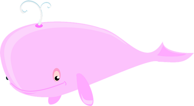 whale-303626_1280.png