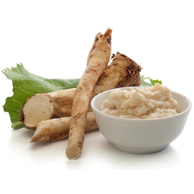 horseradish-seeds-armoracia-rusticana.jpg