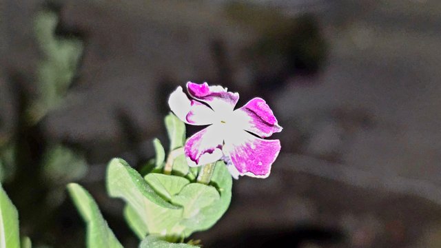 20250706_021707.jpg