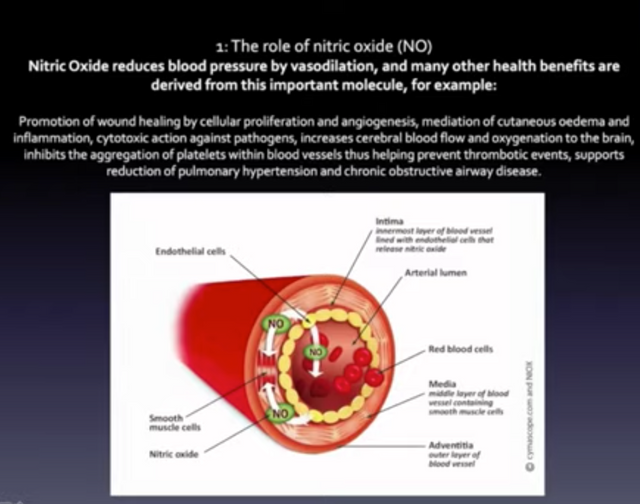 nitricoxide.png