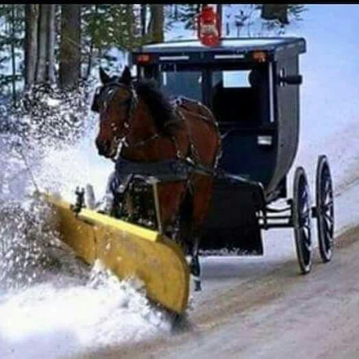 Amish snowplow.jpg