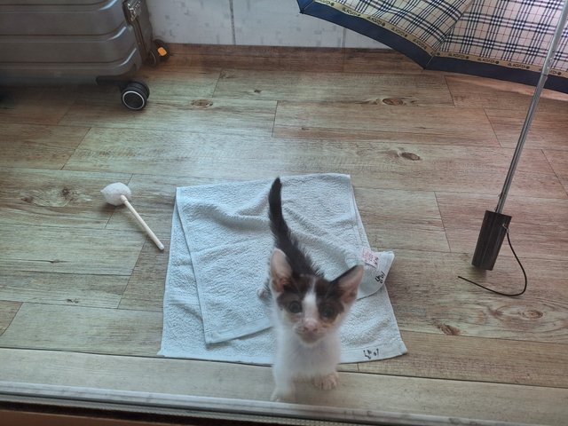 KakaoTalk_20250706_191141978.jpg