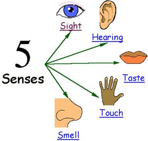 5-senses.jpg