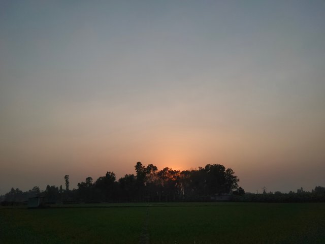 IMG20250308174435.jpg