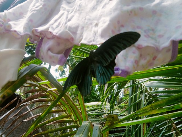 IMG20250507104309.jpg