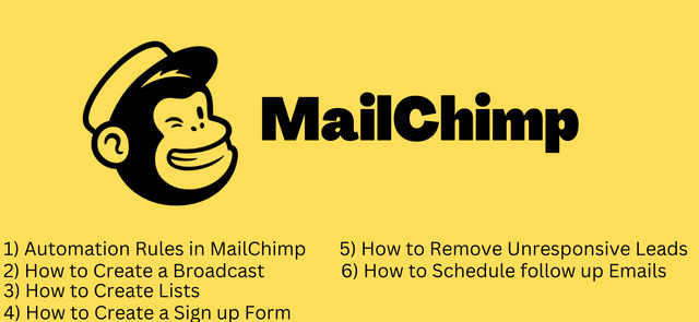 MailChimp (1).png