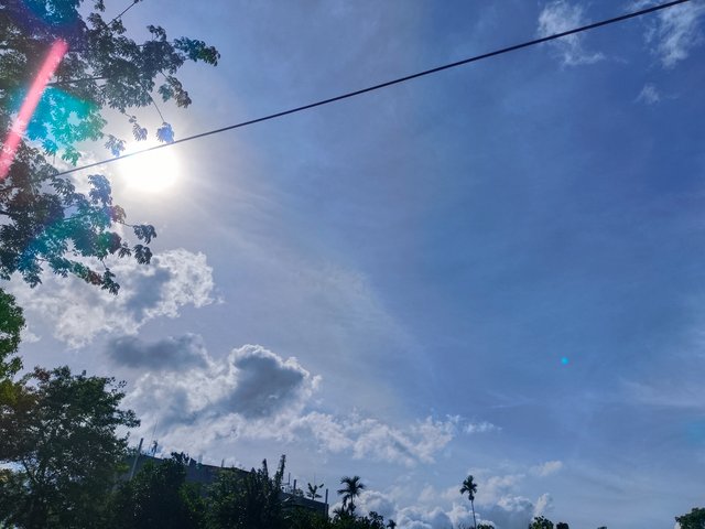 1000095880.jpg