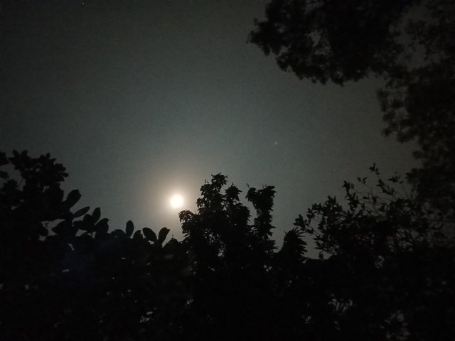 IMG_0393.jpeg
