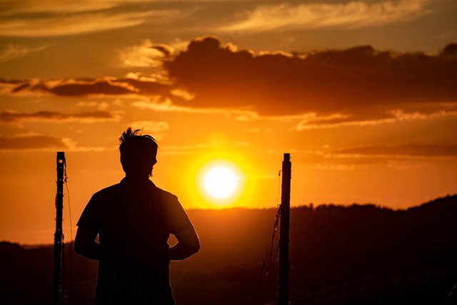 sunset-5940675_1280.jpg