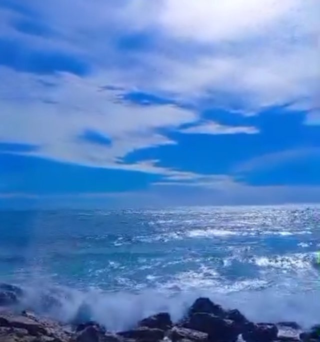 1750293783268.jpg