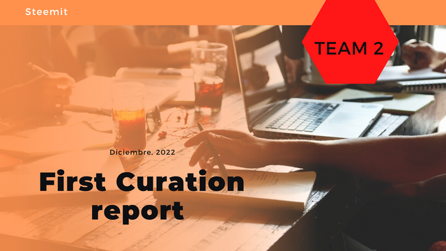 Team 2 First Curation report.png