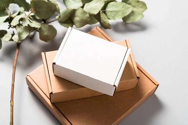 5-Eco-friendly-Packaging-Materials-to-Make-Your-Business-Sustainable.jpg