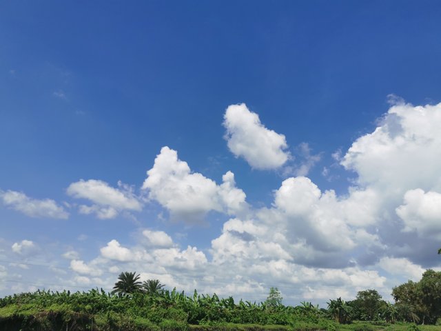 IMG_20250825_141847.jpg