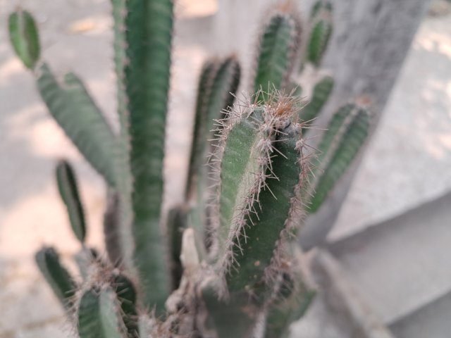 20240214_121906.jpg
